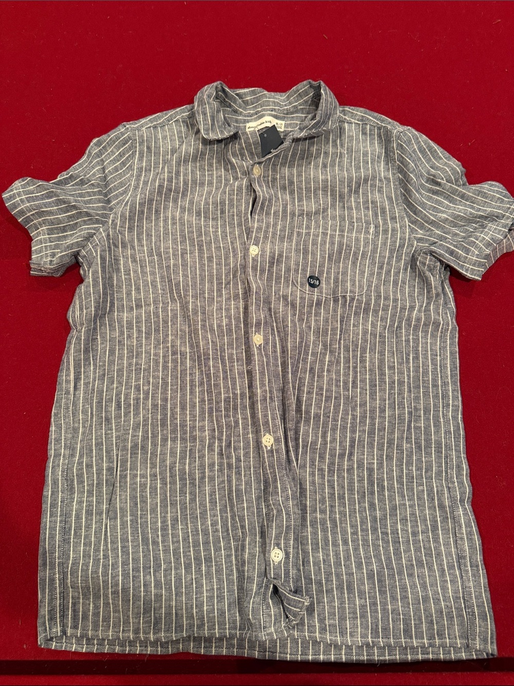 abercrombie kids Blue Striped Button-Down Shirt